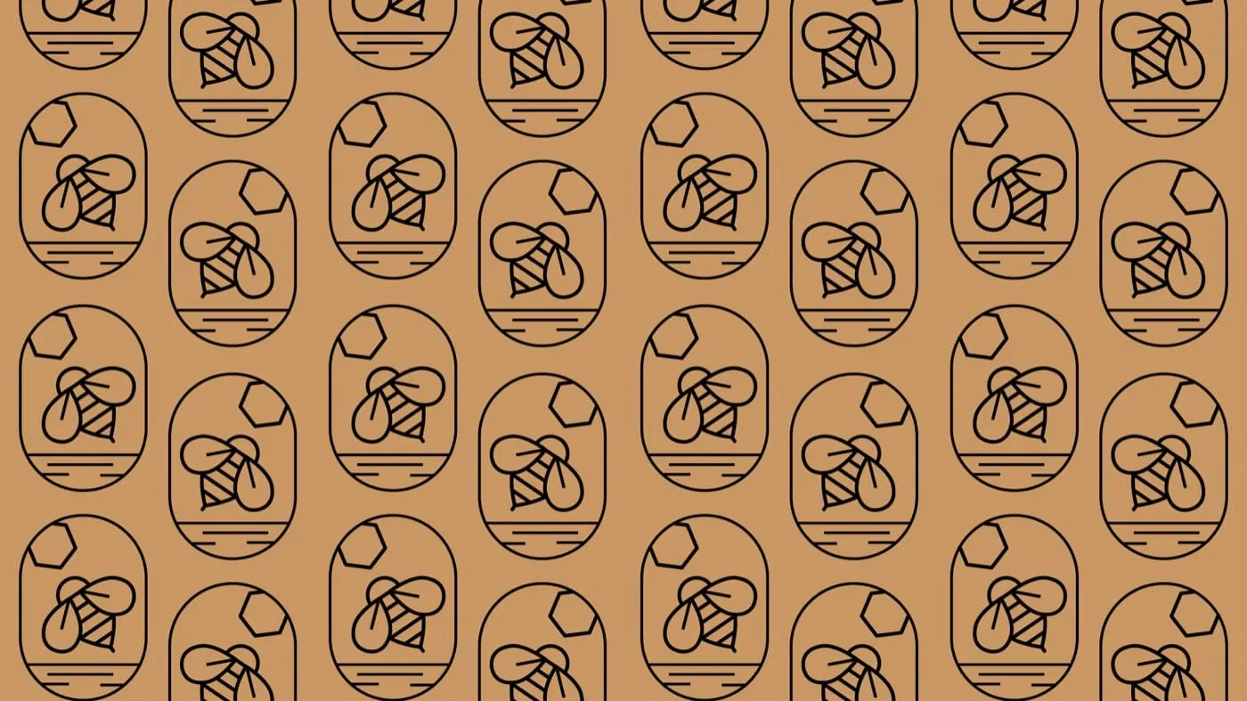 Koneser Miodu — logo / identyfikacja / opakowania, opakowania, projekt Małgorzata Drabina (8)