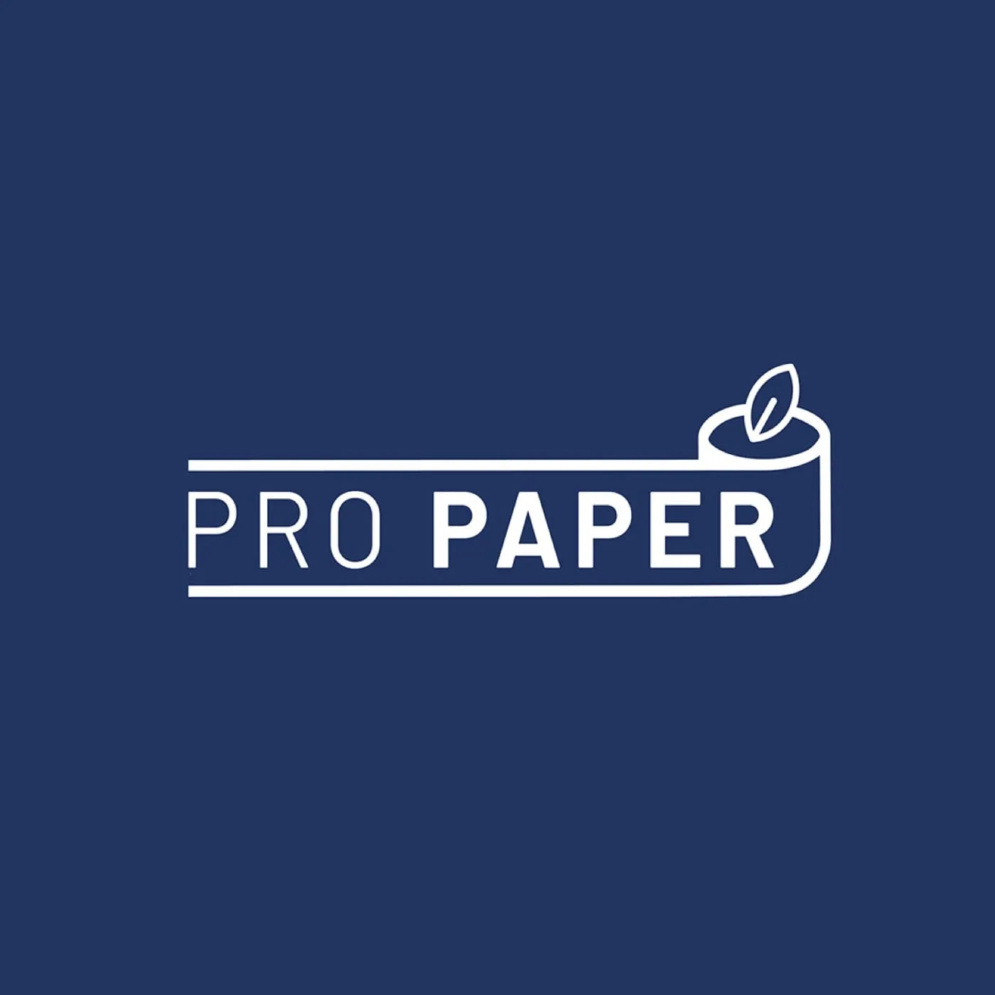 Pro Paper — logo / identyfikacja, identyfikacja wizualna, projekt Małgorzata Drabina (2)