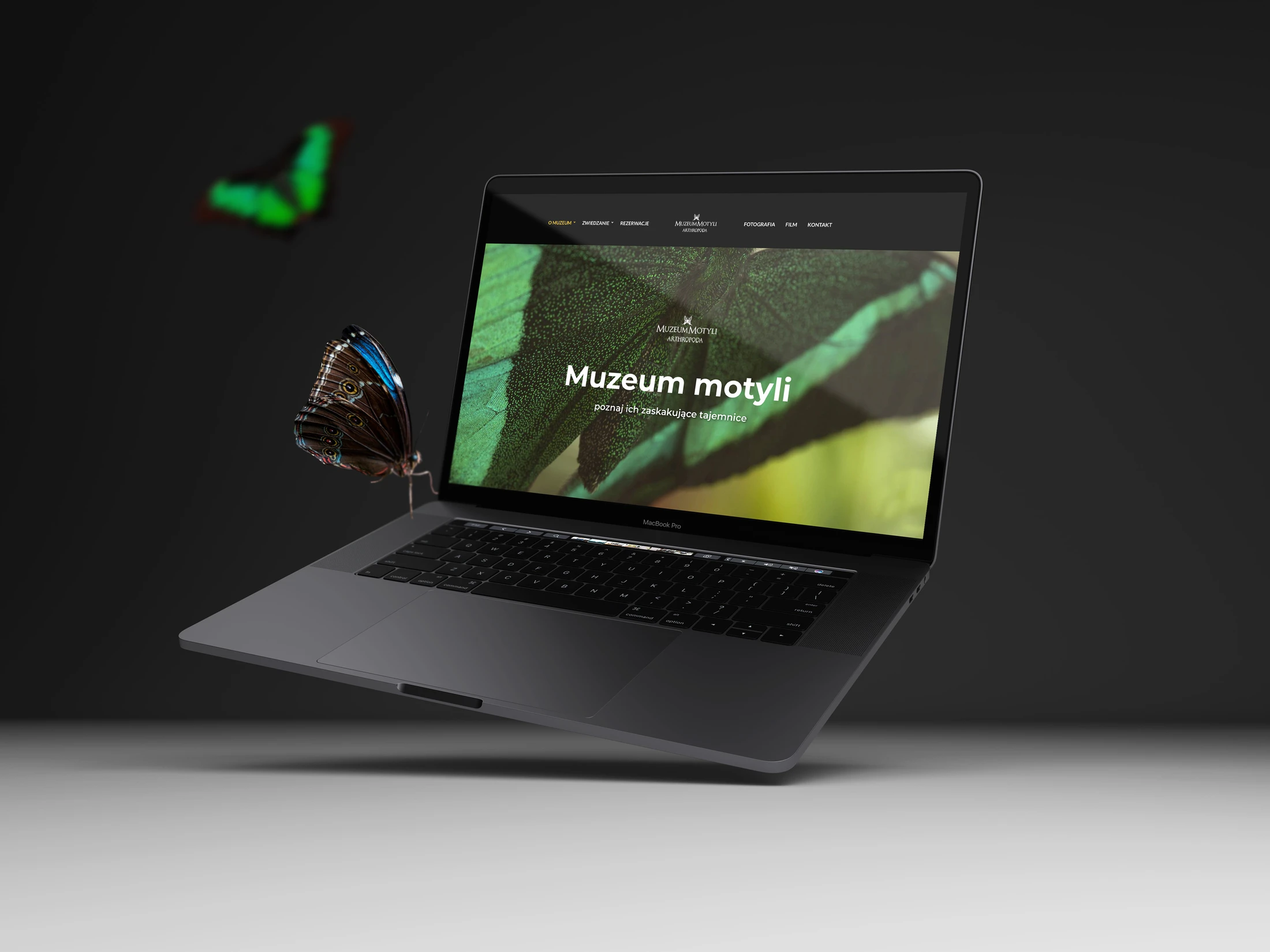 Projekt strony internetowej dla Muzeum motyli.